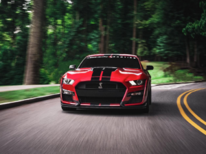 Drive a Shelby GT500